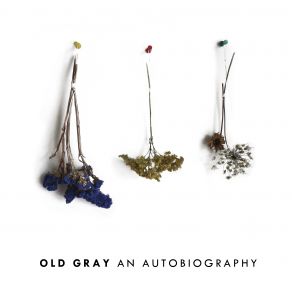 Download track The Artist Old Gray