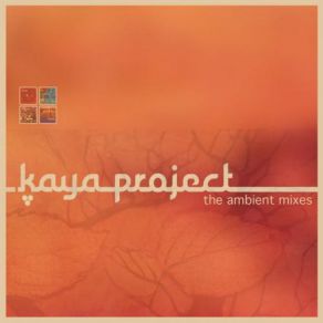 Download track Walking Through (Ambient Mix) Kaya Project