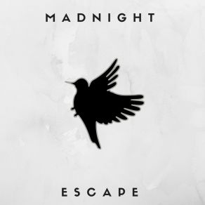 Download track Adventure Madnight