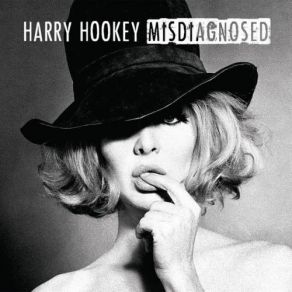 Download track Audrey's Song Harry Hookey