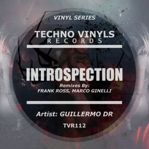 Download track Introspection (Frank Ross Remix) Guillermo DRFrank Ross