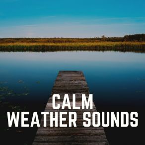 Download track Distant Storm Weather Sounds