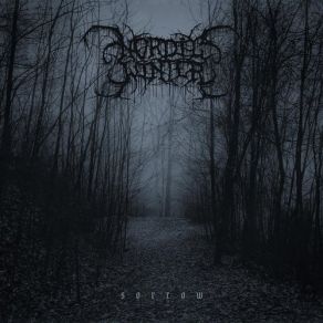 Download track Somber Winds Of Despair (Part I) Nordicwinter