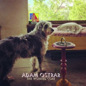 Download track Kansas City Adam Ostrar