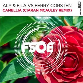 Download track Camellia (Ciaran Mcauley Remix) Ferry Corsten, Aly & Fila