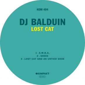 Download track Lost Cat And An Untied Shoe Dj Balduin