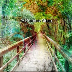 Download track Sleep Party Deep Sleep Relaxation