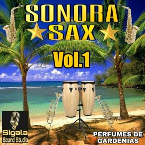 Download track ESTOY PENSANDO EN TI SONORA SAX