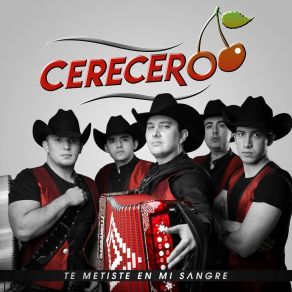 Download track Jugaste Al Olvido Cerecero