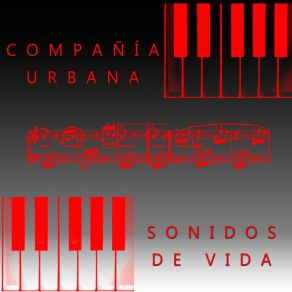 Download track Analizando Tu Ser Compañía Urbana