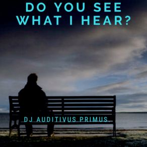 Download track Cabin Fever DJ Auditivus Primus