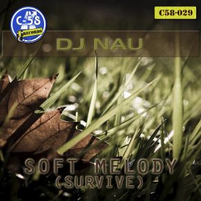 Download track Soft Melody (Original Mix) DJ Nau