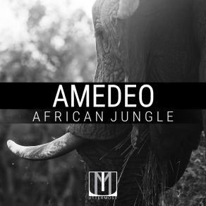 Download track African Jungle (Radio Mix) Amedeo