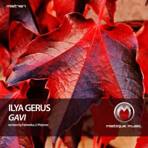 Download track Gavi (Fabreeka Remix) Ilya GerusFabreeka