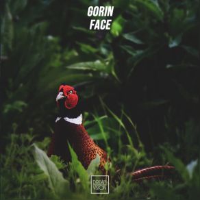 Download track Click GORIN