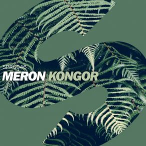 Download track Kongor (Original Mix) Meron