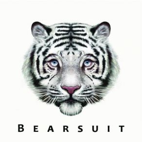 Download track Princess, You'Re A Test  Bearsuit