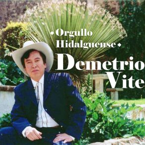 Download track San Felipe Orizatlán Demetrio Vite