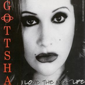 Download track I Love The Nightlife (Nino Extended Mix) Gottsha