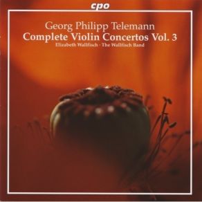 Download track 15. Violin Concerto G Major For 2 Violins Strings B. C: Grave Georg Philipp Telemann