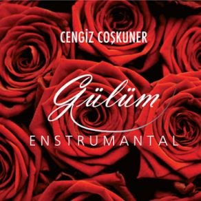 Download track Benim Hayatım Cengiz Coşkuner