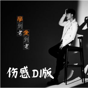 Download track 学到老爱到老 (伤感DJ版伴奏) DJ德朋