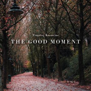 Download track The Good Moment Timotej Kosovinc