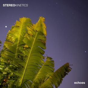 Download track 1998 Stereokinetics