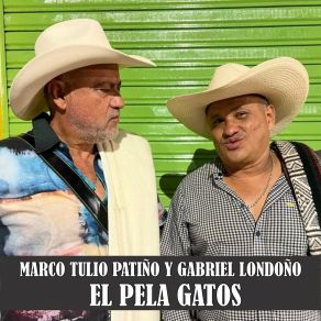 Download track El Pela Gatos Marco Tulio Patiño