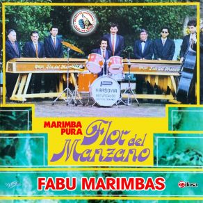 Download track Mi Amor En Xelajú Marimba Flor Del Manzano