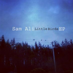 Download track The Only Way Is Up Sam Ali