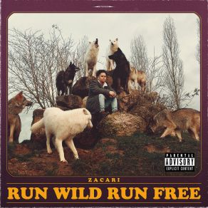 Download track Run Wild Run Free Zacari