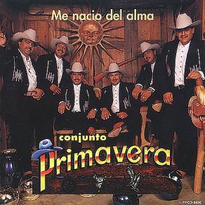 Download track Mi Destino Fue Quererte Conjunto Primavera