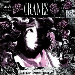 Download track Self-Non-Self Cranes