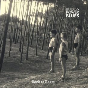 Download track Virtual Blues Maria João, Budda Power BluesDanny Del Toro