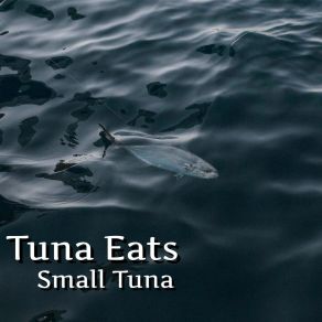 Download track Tuna Small Tuna