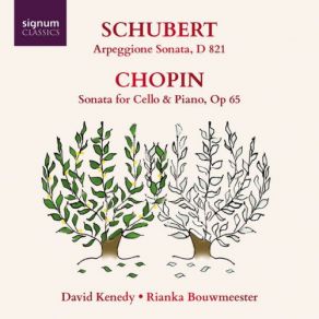 Download track Sonata For Cello & Piano In G Minor, Op. 65: II. Scherzo David Kenedy, Rianka Bouwmeester