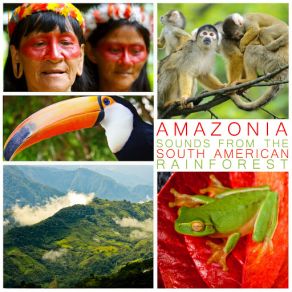 Download track The Rainforest Ameritz Sound Effects