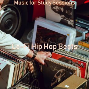 Download track Background Music For Sleeping Lo-Fi Hip Hop Beats