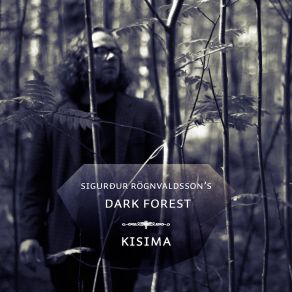 Download track Leitin Sigurður Rögnvaldsson's Dark Forest