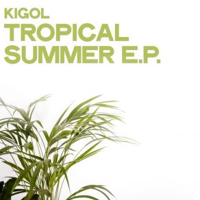 Download track Perfect Day (Original Mix) Kigol