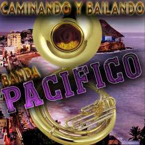 Download track Te Voy A Olvidar Banda Pacifico