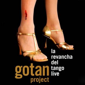 Download track Santa Maria (Del Buen Ayre) (LRDT Live) Gotan Project, Veronika Silva