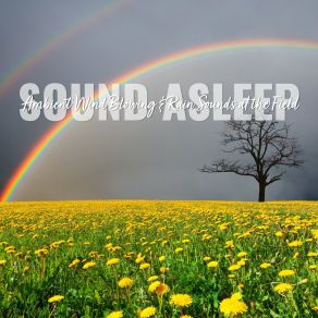 Download track Ambient Wind Blowing & Rain Sounds At The Field, Pt. 18 Elijah Wagner