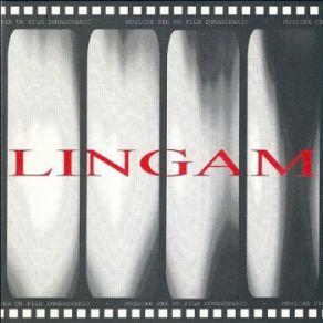 Download track Distant Shore Lingam