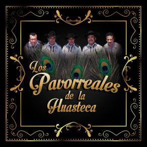 Download track Mi San Bartólo Querido Los Pavorreales De La Huasteca