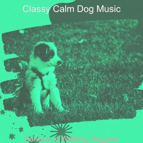 Download track Background For Doggy Training Classy Calm Dog Music