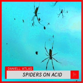 Download track Minimal Structures Daniell Atlas