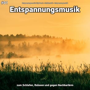 Download track Entspannungsmusik Pt. 62 Entspannungsmusik