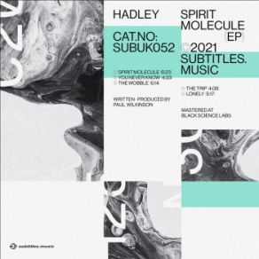 Download track Spirit Molecule Hadley